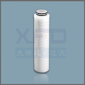 PES Plated Filter Cartridge --- RFED